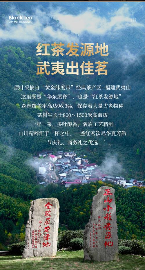 正山堂骏眉中国特级红茶 每一袋都是传奇